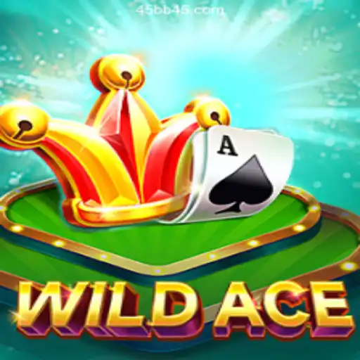Exploring the Thrills of WildAce: A Safe and Rewarding Online Casino Experience